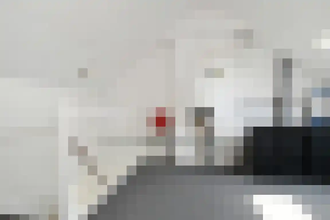 Graaf Philipsstraat 5 Horn thumbnail 23