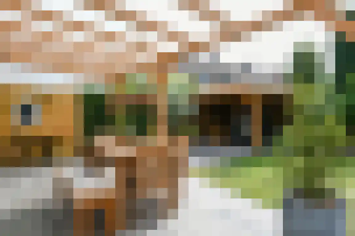 Graaf Philipsstraat 5 Horn thumbnail 28