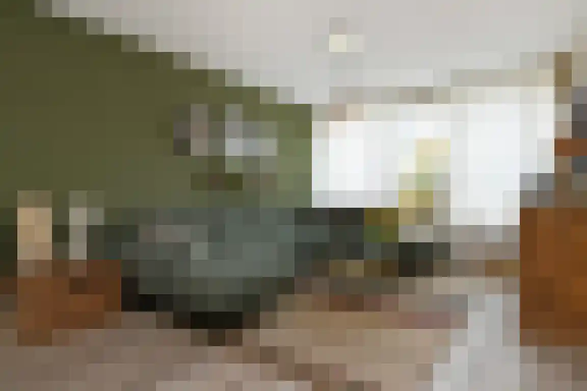 Graaf Philipsstraat 5 Horn thumbnail 5
