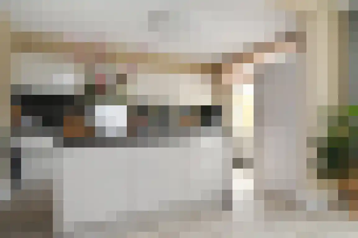 Graaf Philipsstraat 5 Horn thumbnail 9