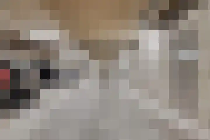 Graaf Reinaldstraat 15 Roermond thumbnail 26