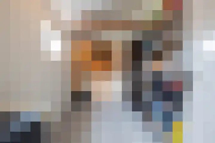 Graaf Reinaldstraat 17 Swalmen thumbnail 14