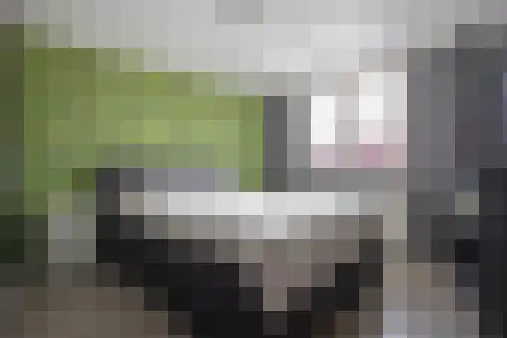 Graaf Reinaldstraat 17 Swalmen thumbnail 20
