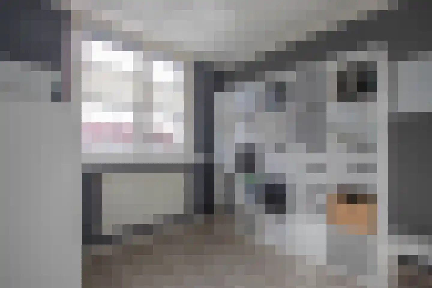 Graaf Reinaldstraat 17 Swalmen thumbnail 22