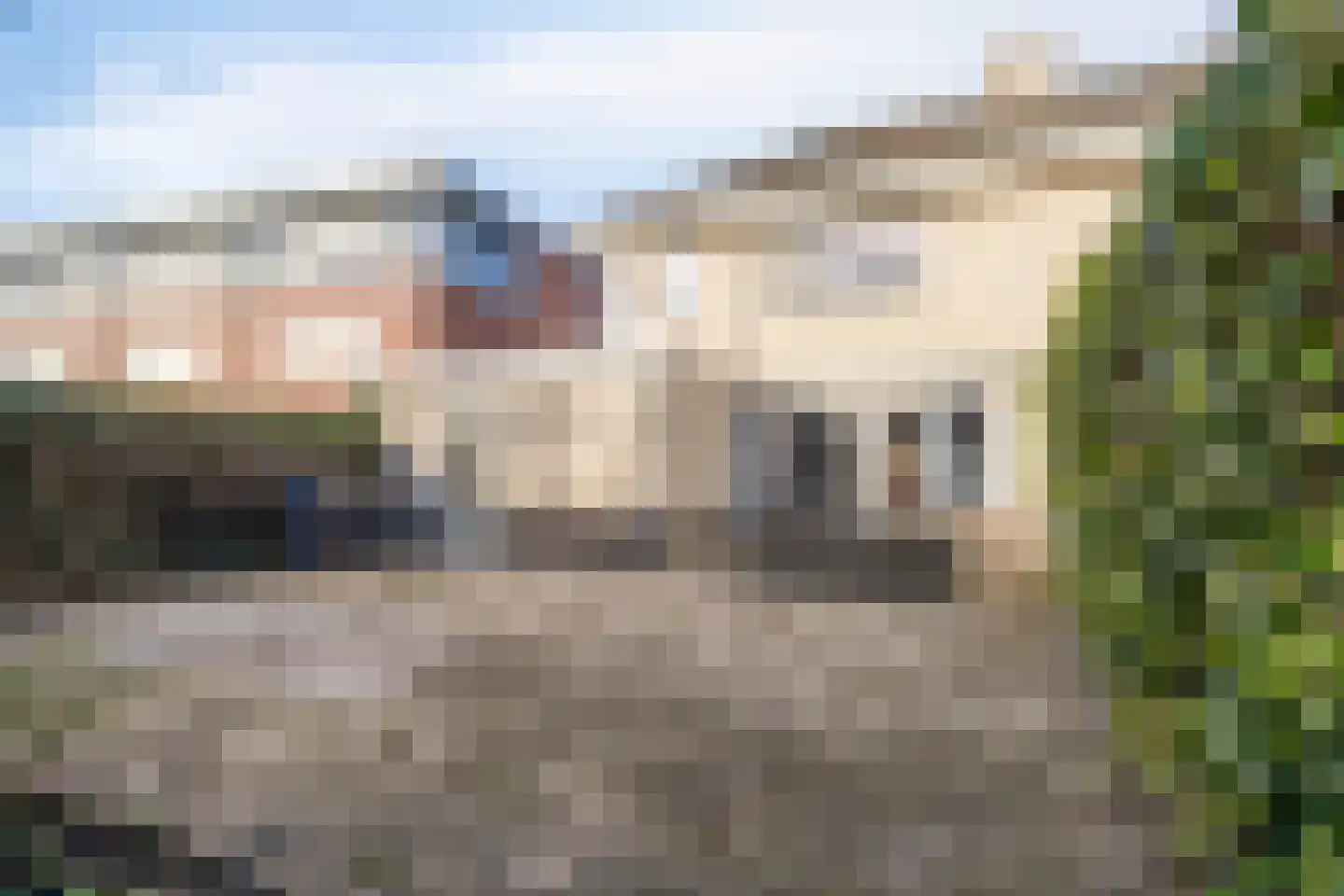 Graaf Reinaldstraat 20 Zaltbommel thumbnail 29