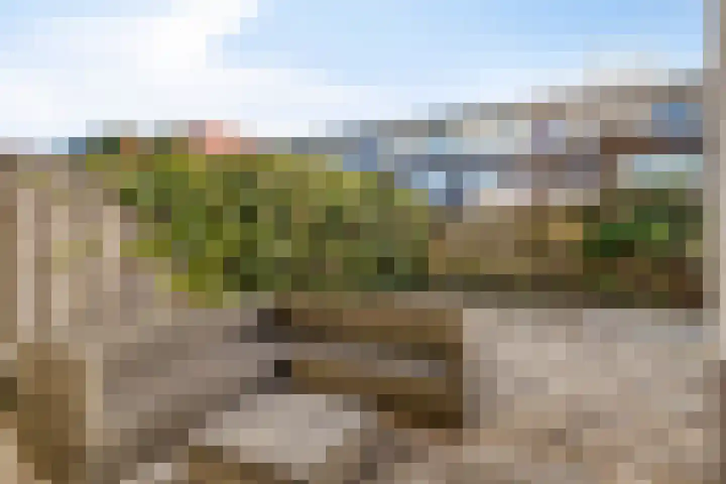Graaf Reinaldstraat 20 Zaltbommel thumbnail 32