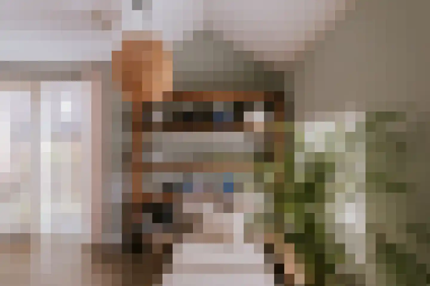 Graaf Reinaldstraat 22 Roermond thumbnail 22
