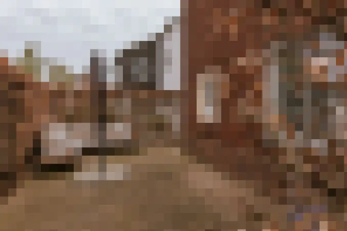 Graaf Reinaldstraat 22 Roermond thumbnail 35