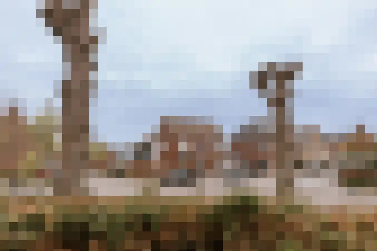 Graaf Reinaldstraat 22 Roermond thumbnail 69