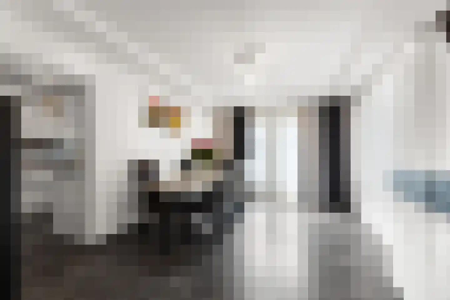 Graaf Reinaldstraat 25 Lobith thumbnail 10