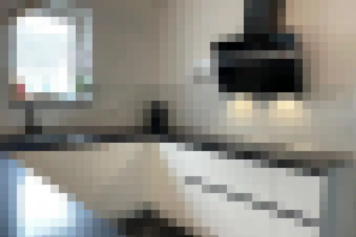 Graaf Reinaldstraat 25 Lobith thumbnail 12