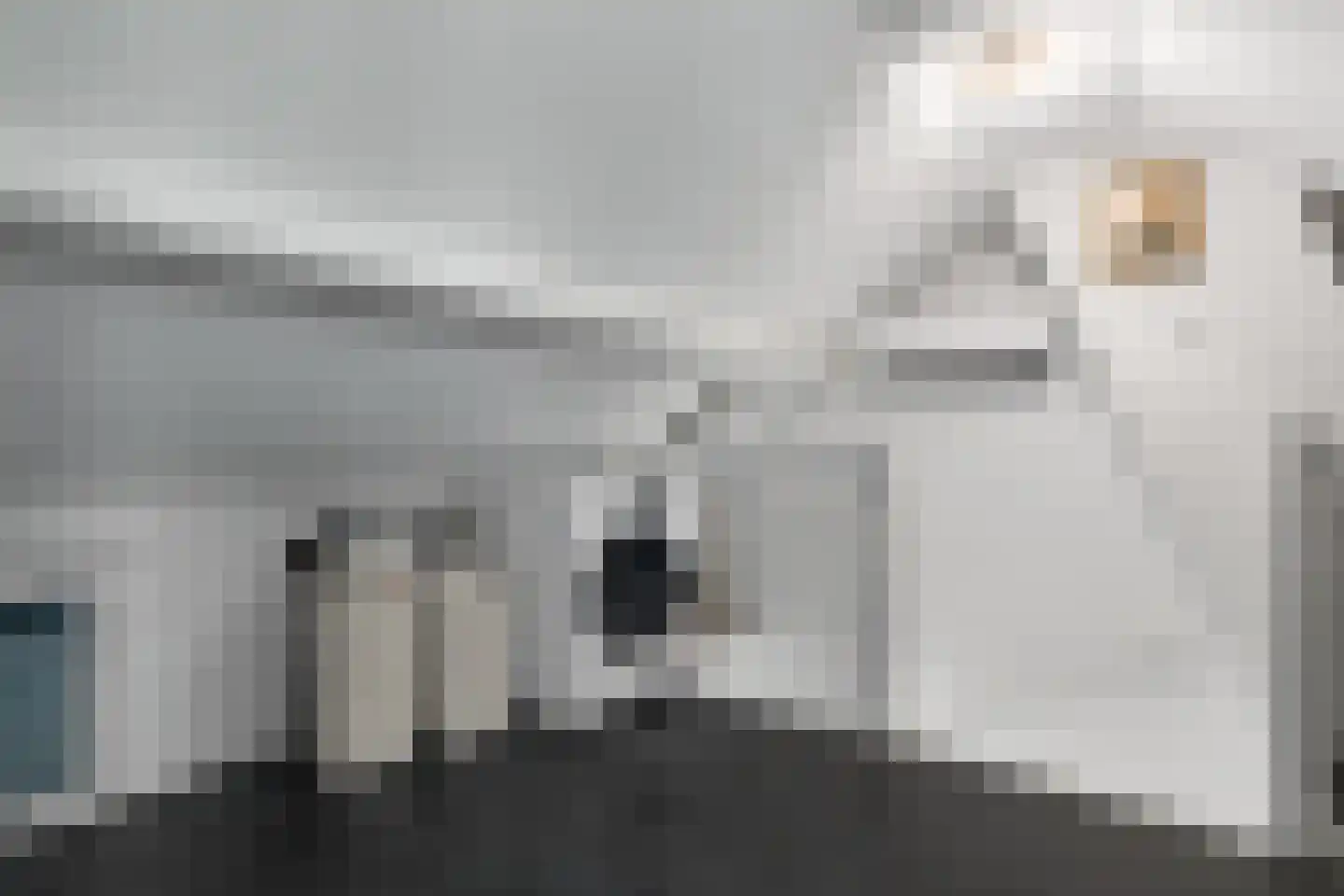 Graaf Reinaldstraat 25 Lobith thumbnail 24