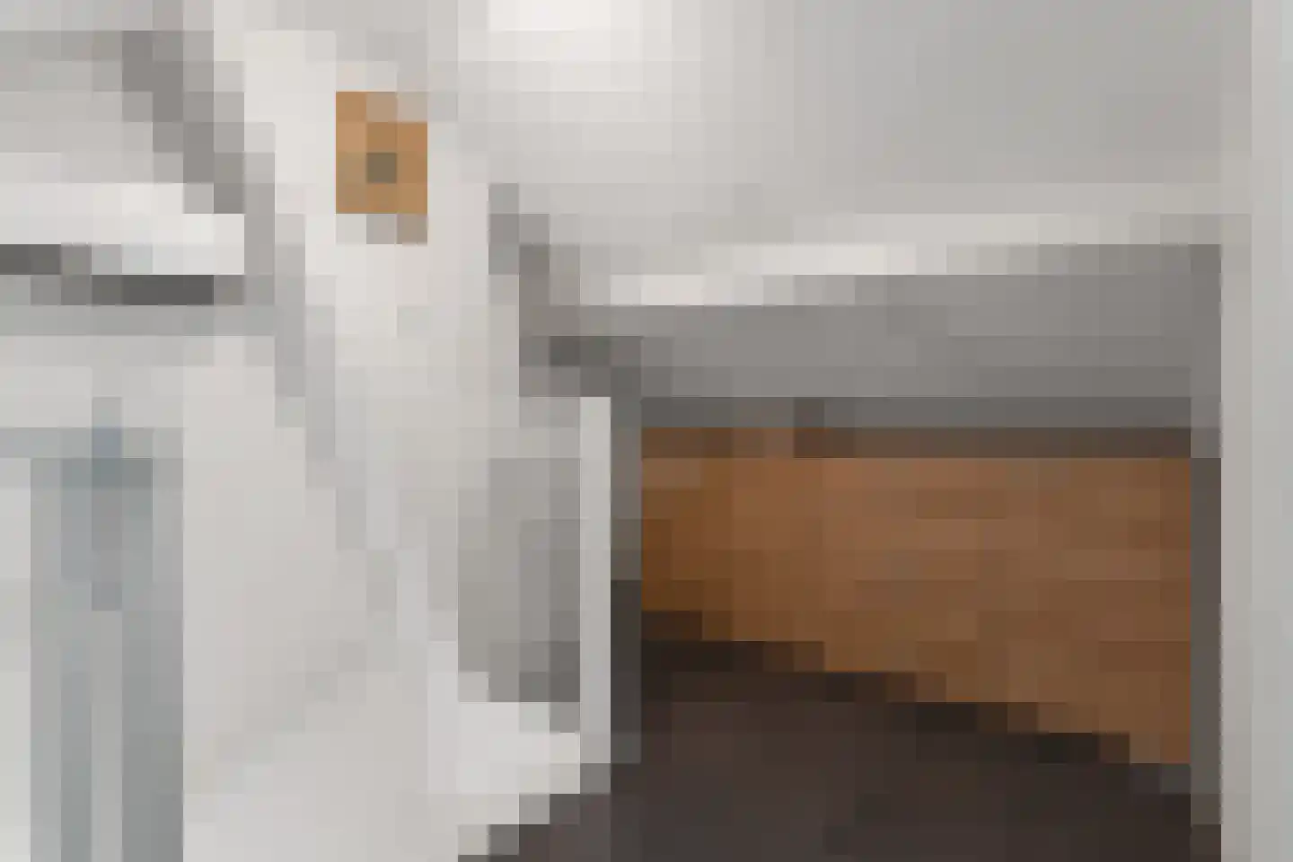 Graaf Reinaldstraat 25 Lobith thumbnail 25