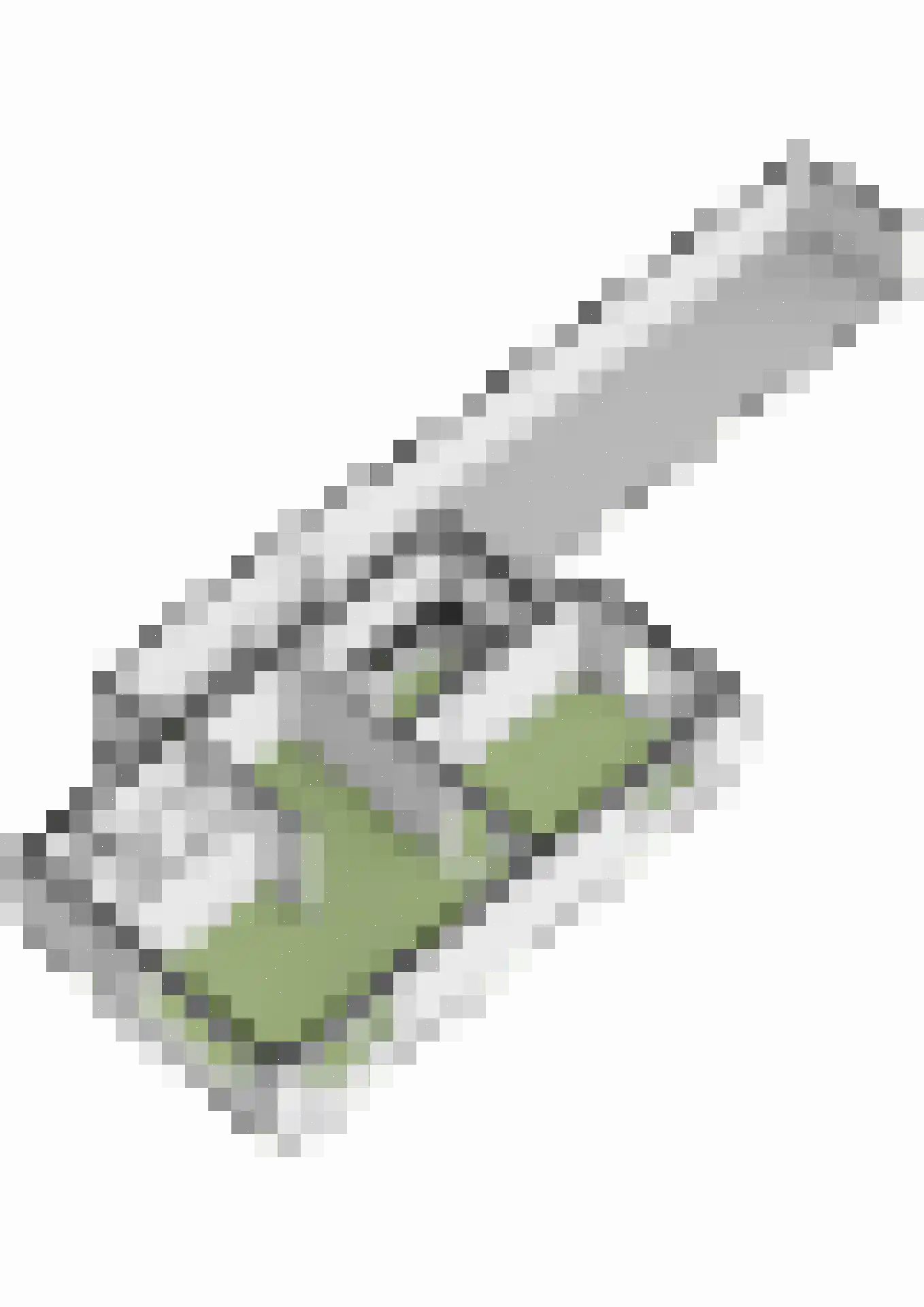 Graaf Reinaldstraat 25 Lobith thumbnail 41