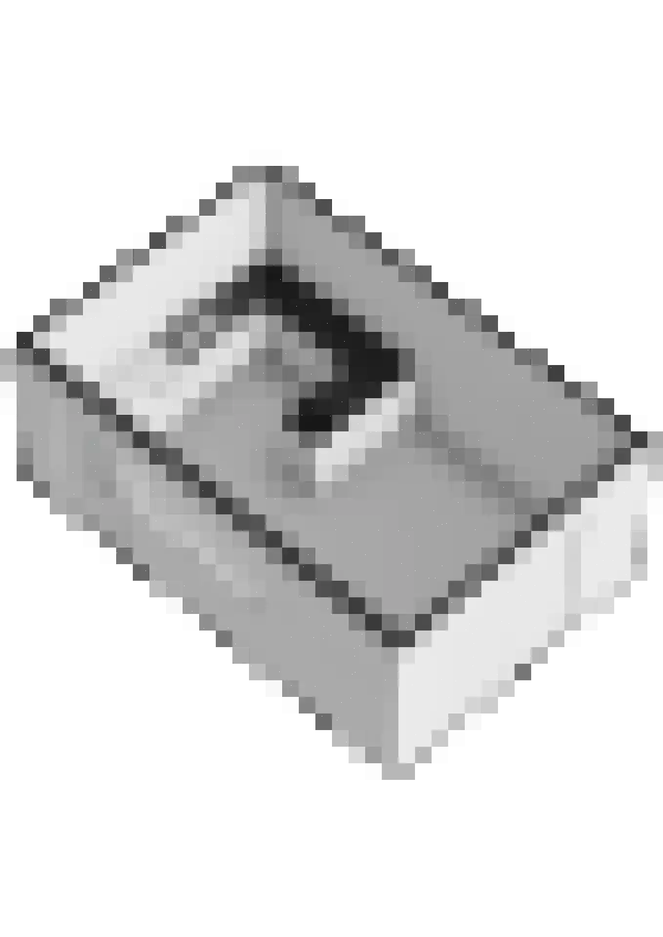 Graaf Reinaldstraat 25 Lobith thumbnail 43