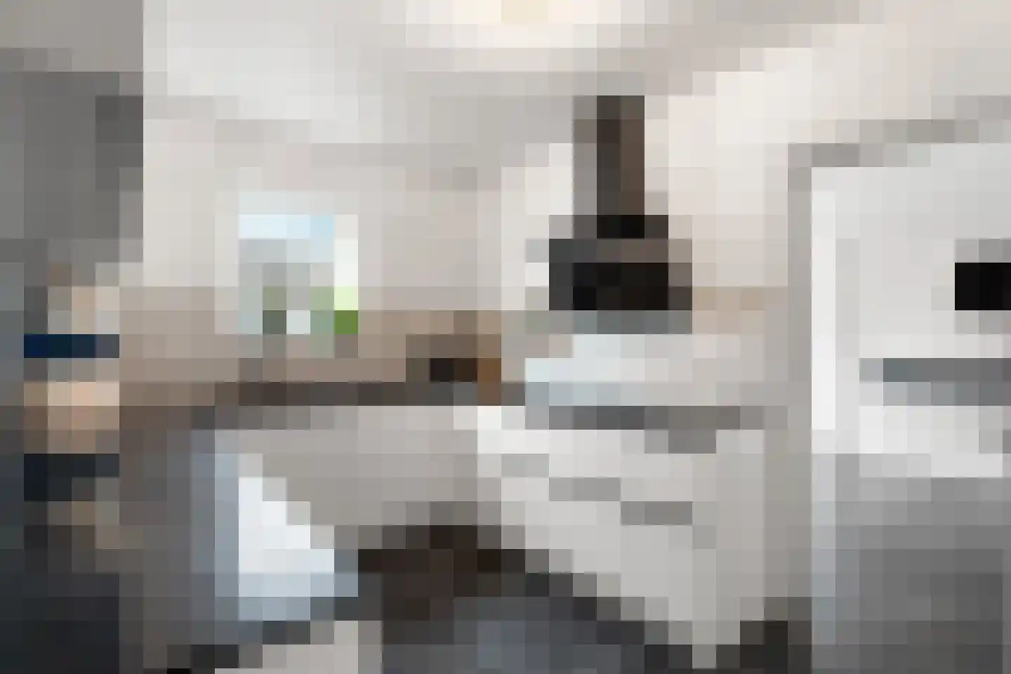 Graaf Reinaldstraat 25 Lobith thumbnail 5