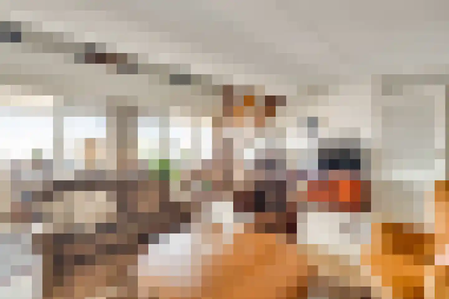 Graaf Reinaldstraat 33 Roermond thumbnail 12