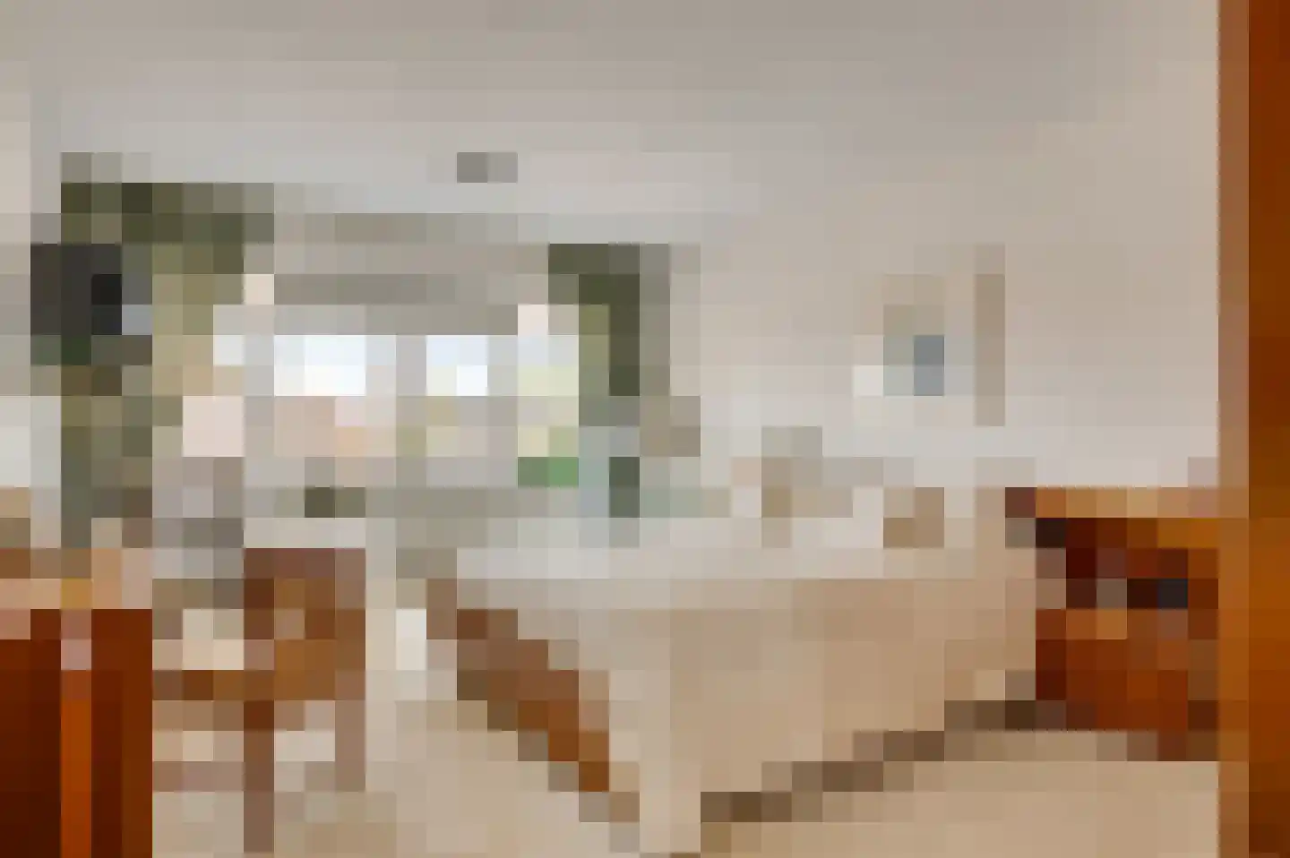Graaf Reinaldstraat 33 Roermond thumbnail 21