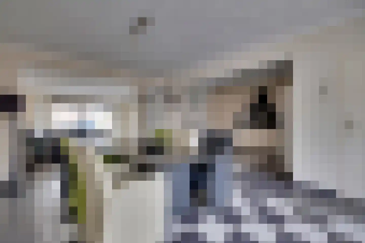Graaf Reinaldstraat 53 Lobith thumbnail 10