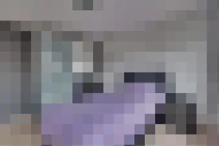 Graaf Reinaldstraat 53 Lobith thumbnail 17