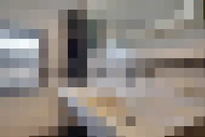 Graaf Reinaldstraat 53 Lobith thumbnail 21
