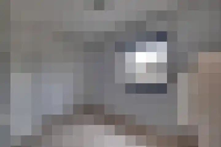 Graaf Reinaldstraat 53 Lobith thumbnail 22