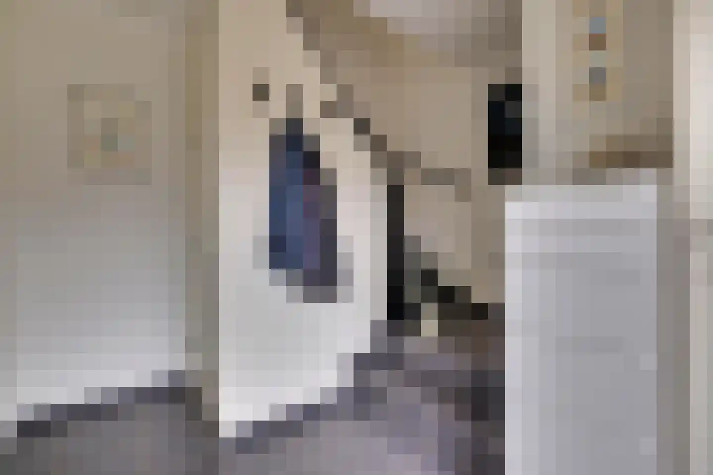 Graaf Reinaldstraat 53 Lobith thumbnail 6