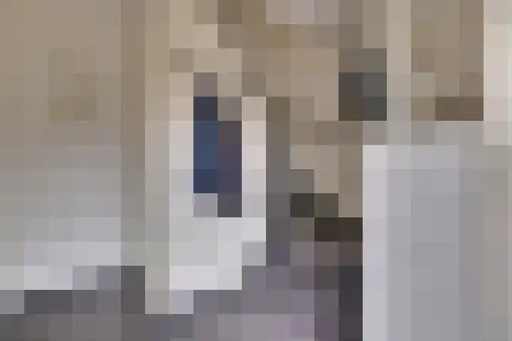 Graaf Reinaldstraat 53 Lobith thumbnail 6