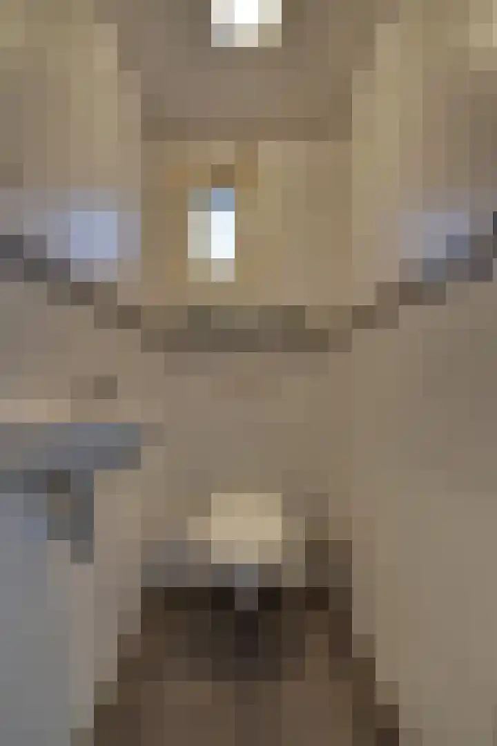 Graaf Reinaldstraat 53 Lobith thumbnail 7