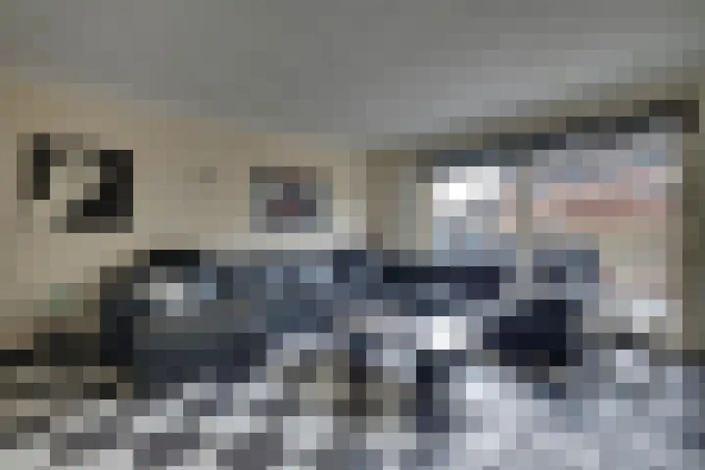 Graaf Reinaldstraat 53 Lobith thumbnail 8