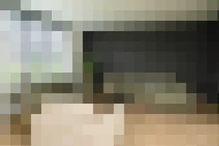 Graaf Reinaldstraat 6 Zaltbommel thumbnail 6