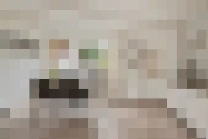 Graaf Reinaldstraat 69 Lobith thumbnail 10