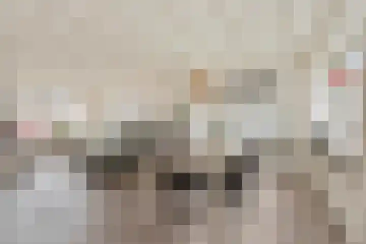 Graaf Reinaldstraat 69 Lobith thumbnail 12