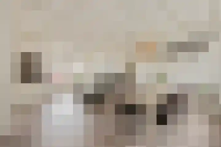 Graaf Reinaldstraat 69 Lobith thumbnail 13