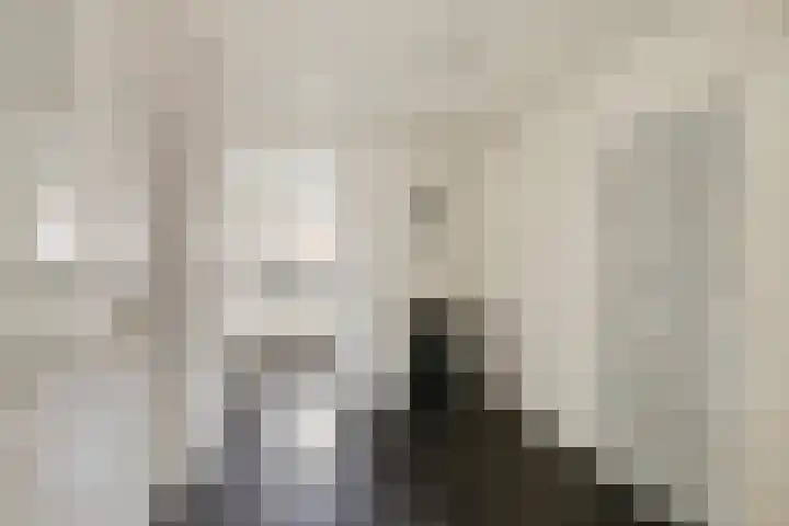 Graaf Reinaldstraat 69 Lobith thumbnail 17
