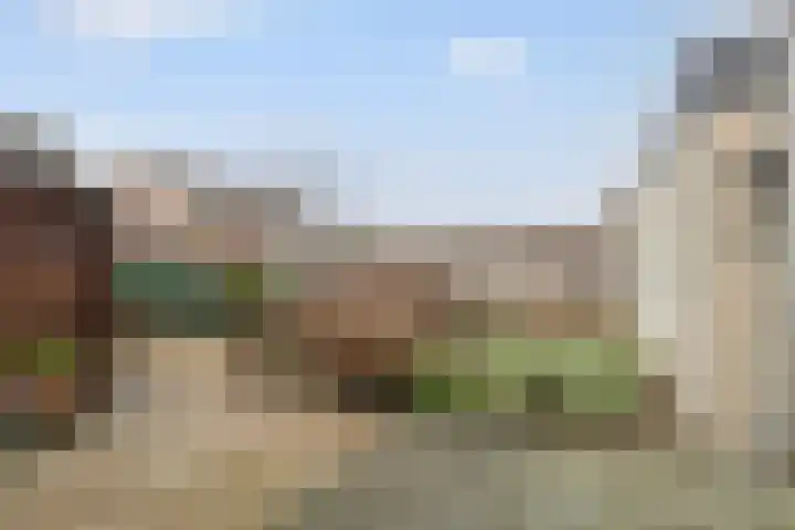 Graaf Reinaldstraat 69 Lobith thumbnail 20