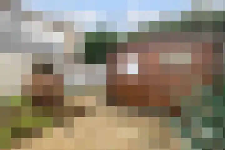 Graaf Reinaldstraat 69 Lobith thumbnail 21