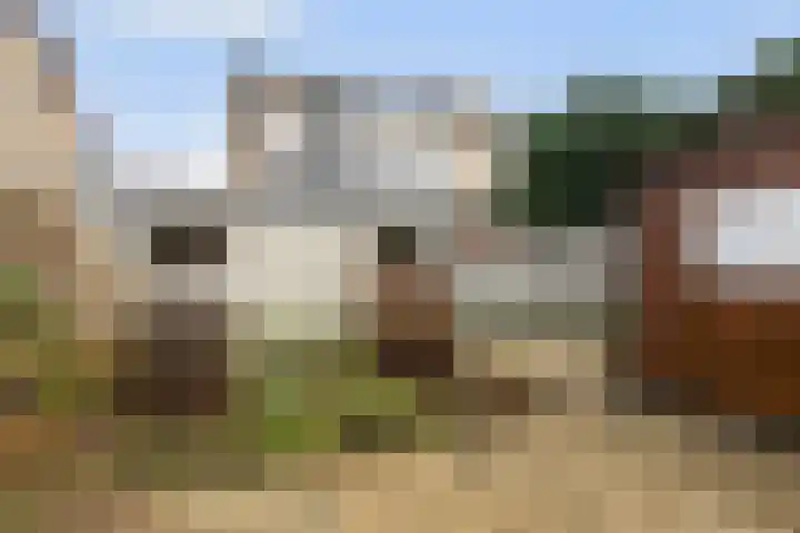 Graaf Reinaldstraat 69 Lobith thumbnail 22