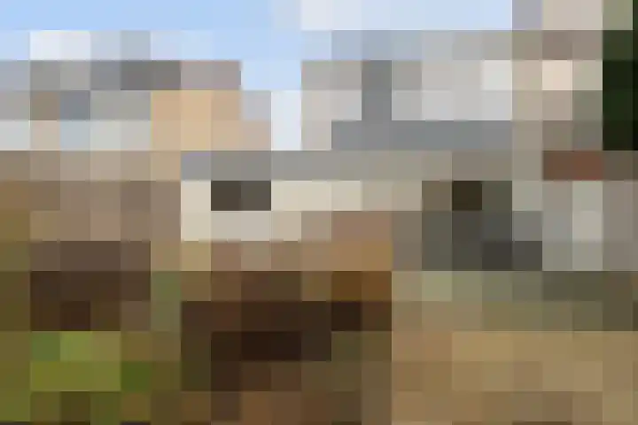 Graaf Reinaldstraat 69 Lobith thumbnail 23
