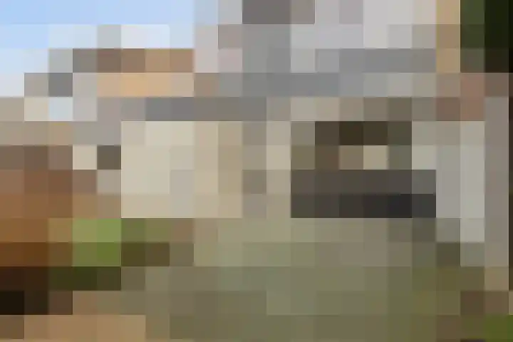 Graaf Reinaldstraat 69 Lobith thumbnail 24