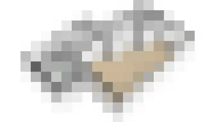 Graaf Reinaldstraat 69 Lobith thumbnail 37