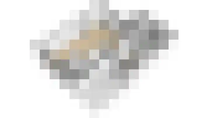 Graaf Reinaldstraat 69 Lobith thumbnail 38