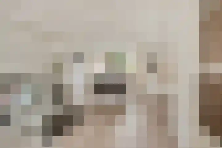 Graaf Reinaldstraat 69 Lobith thumbnail 4