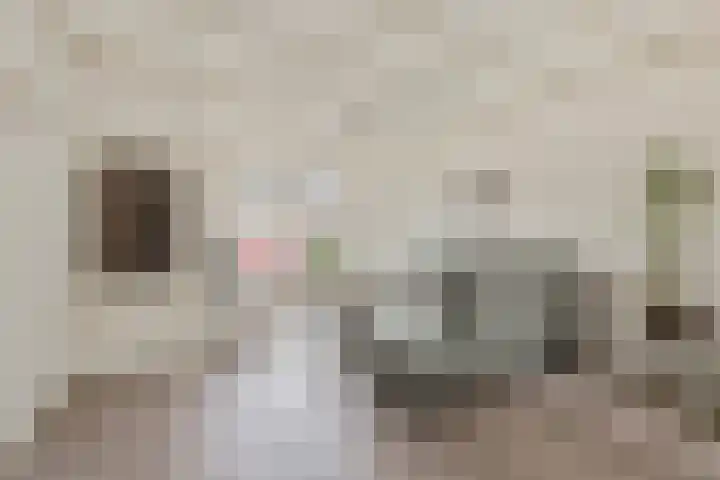 Graaf Reinaldstraat 69 Lobith thumbnail 7
