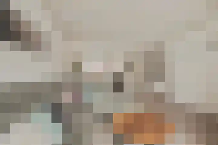 Graaf Reinaldstraat 69 Lobith thumbnail 9