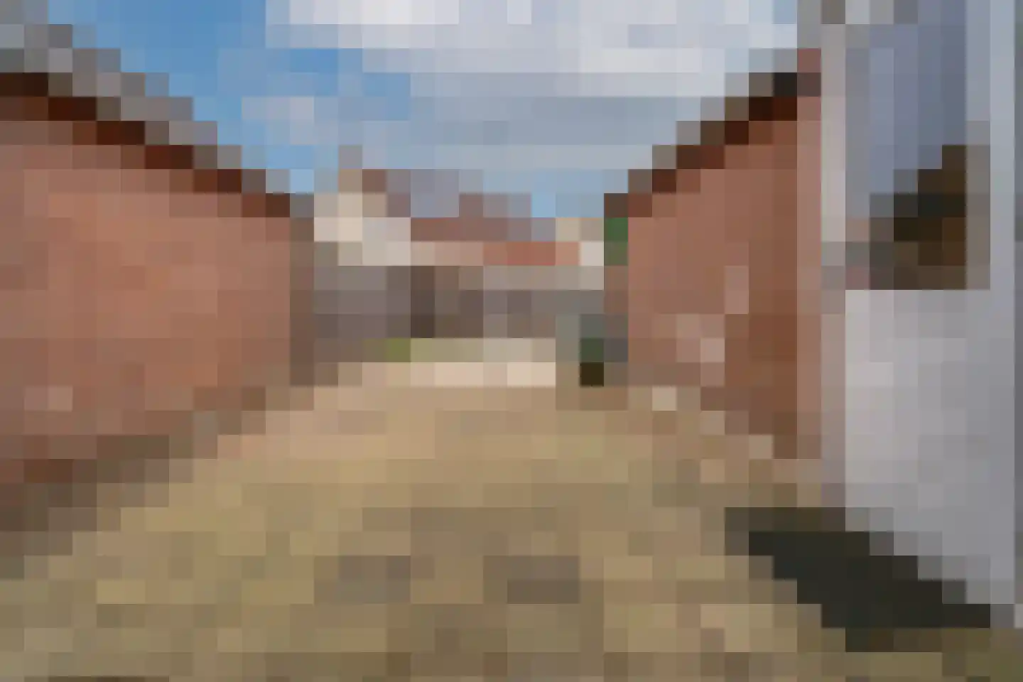 Graaf Reinaldstraat 8 a Lobith thumbnail 37