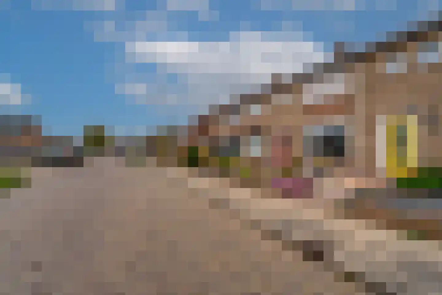 Graaf Reinaldstraat 8 a Lobith thumbnail 5
