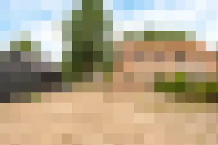 Graaf Reinoldweg 28 't Harde thumbnail 30