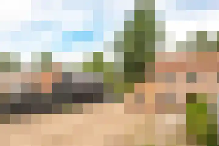 Graaf Reinoldweg 28 't Harde thumbnail 31