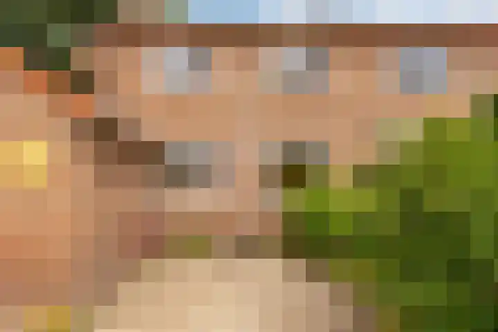 Graaf Reinoldweg 28 't Harde thumbnail 33